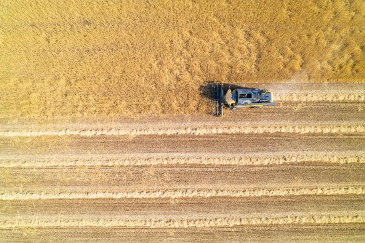 Appartamenti Riva Degli Etruschi San Vincenzo Buitenkant foto